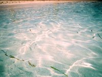 photos 2000-200901193